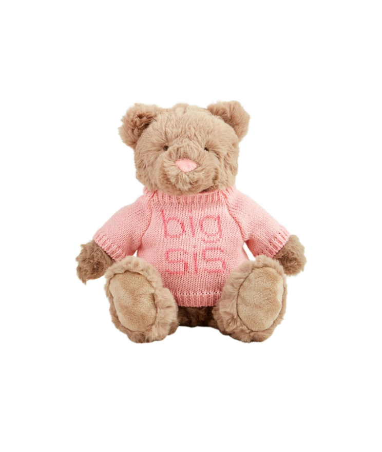 Big Sis Big Bro Plush Bears