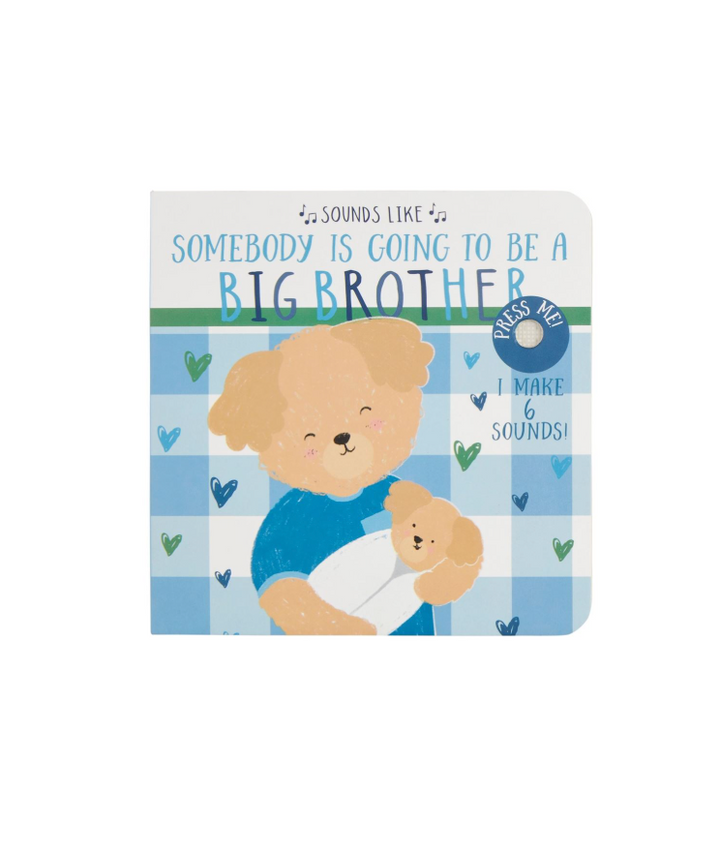 Sounds Like Big Bro Big Sis