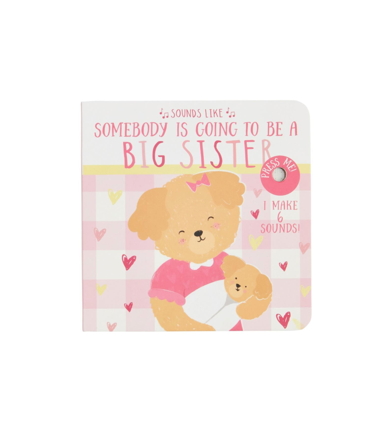 Sounds Like Big Bro Big Sis