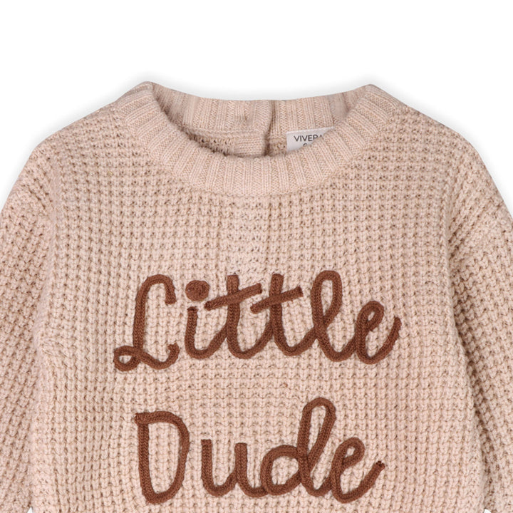 Little Dude Embroidered Sweater Knit Baby Pullover