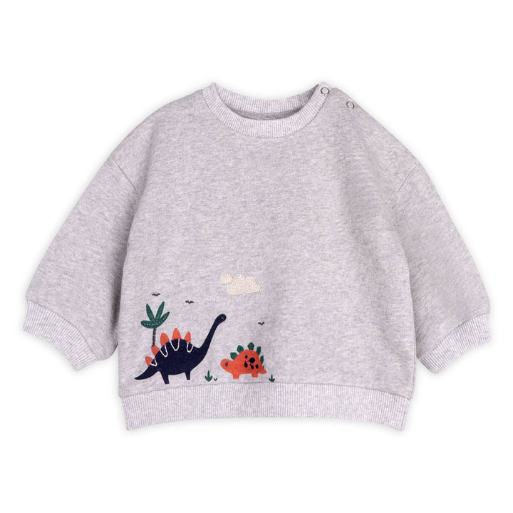 Dino Baby Sweatshirt & Jogger Set