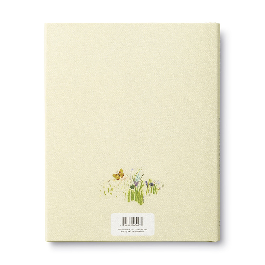 Because I Had A Teacher Book