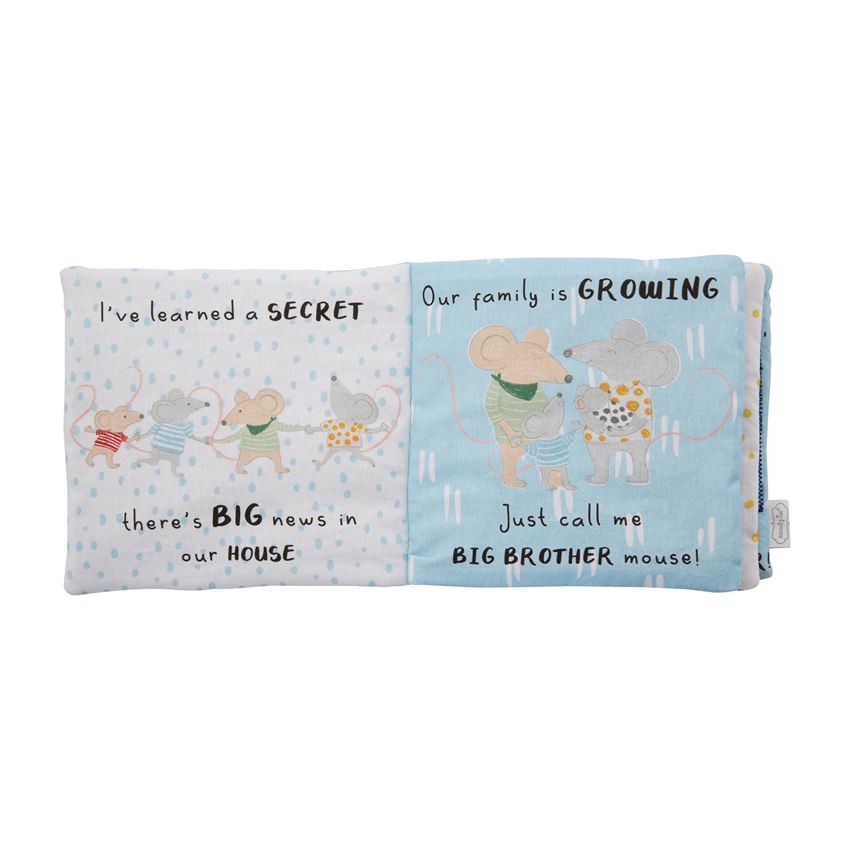 Big Brother Book and Pin Set