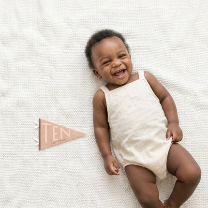 Mountain Fields Baby Milestone Pennant