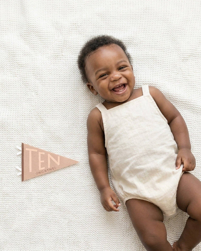 Mountain Fields Baby Milestone Pennant