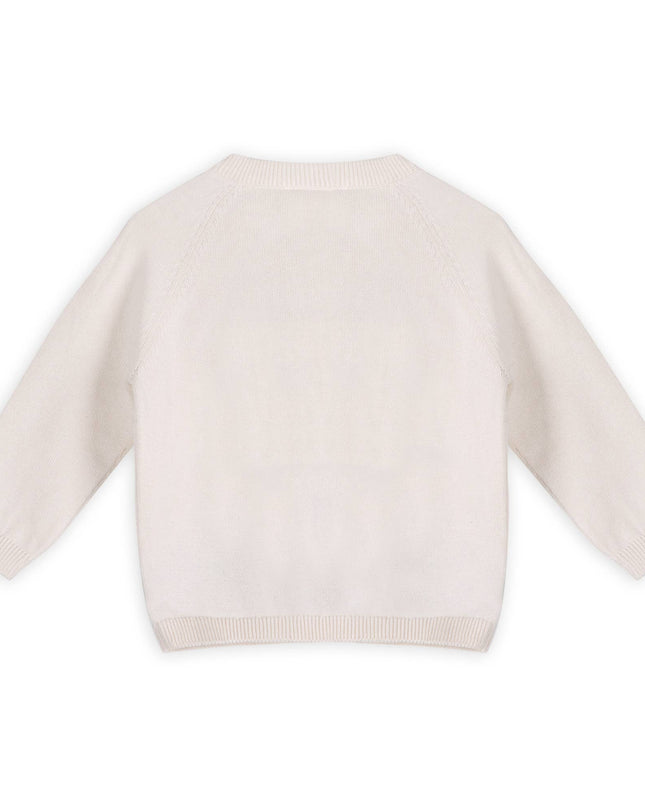 Dino Jacquard Baby Knit Pullover (Organic)