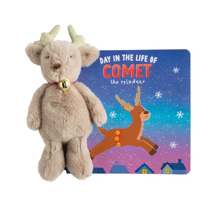 Day In The Life Of A Comet