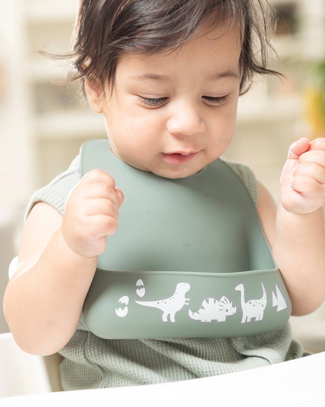 Dino Rawr Little Bites Starter Bib