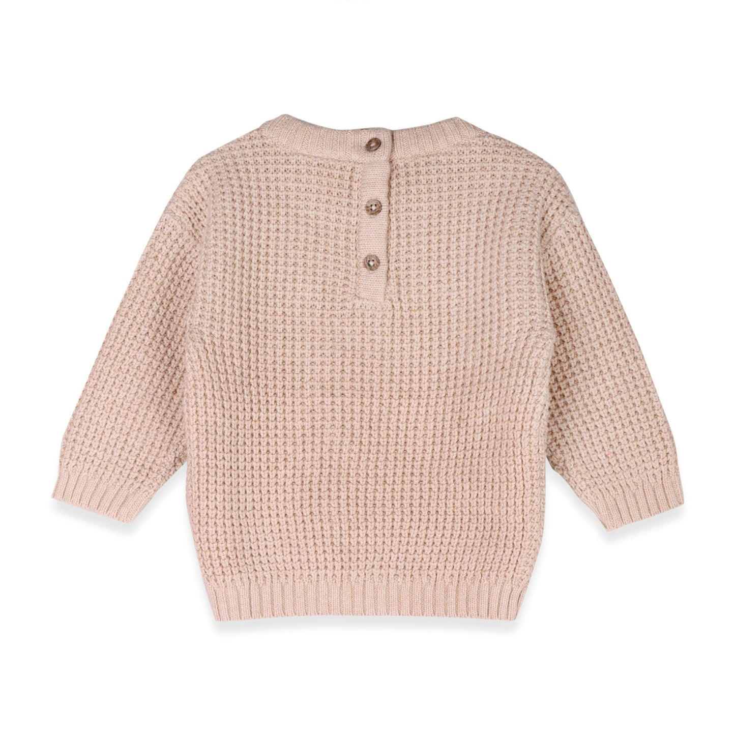 Little Dude Embroidered Sweater Knit Baby Pullover