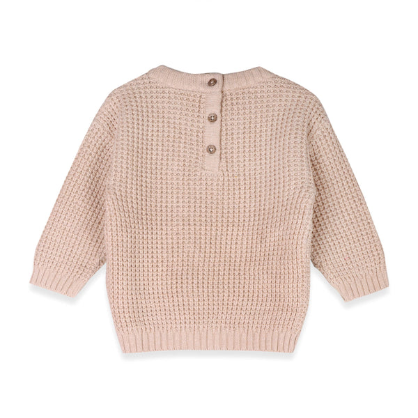 Little Dude Embroidered Sweater Knit Baby Pullover