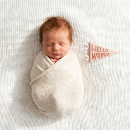 Mountain Fields Baby Milestone Pennant