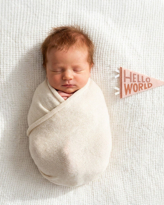 Mountain Fields Baby Milestone Pennant