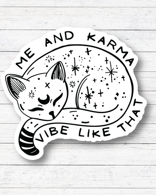 Me and Karma- Taylor Swift Lyrics Stickers/Magnet: Matte Vinyl