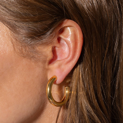 Gold Plated Hoop Earrings - Terry