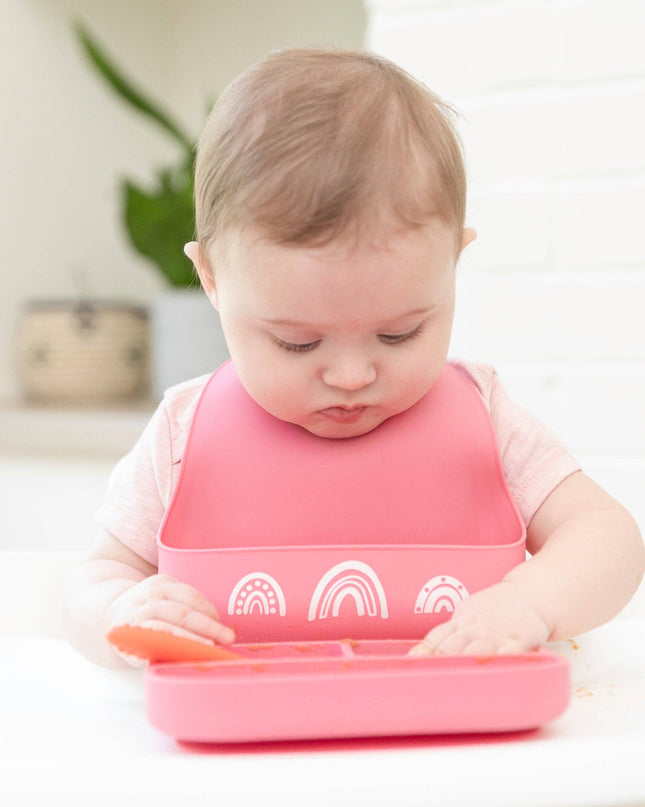 Chasing Rainbows Little Bites Starter Bib