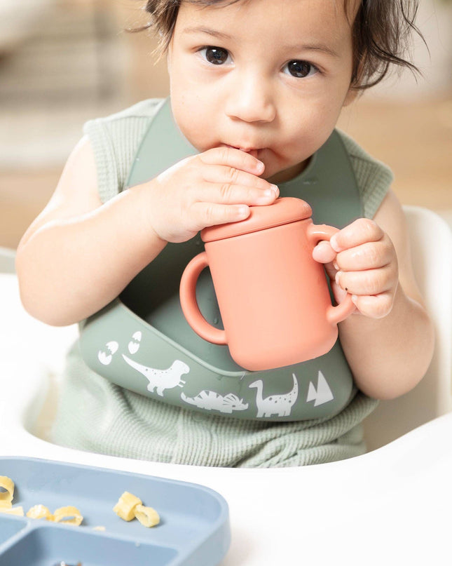 Dino Rawr Little Bites Starter Bib