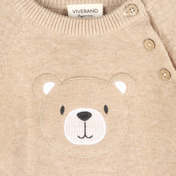 Teddy Bear Applique Baby Raglan Pullover