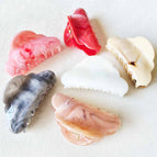 ASSORTED / ONE SIZE(12)