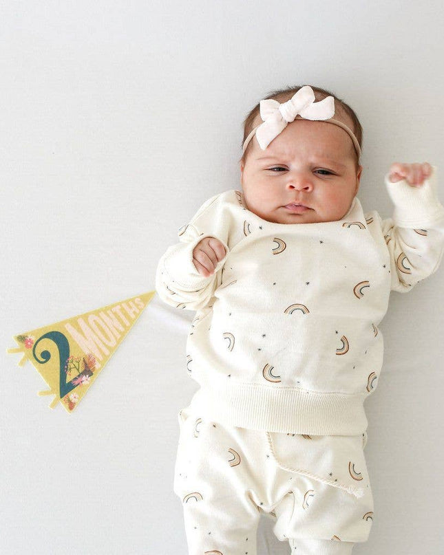 Little Artist Baby Milestone Pennant