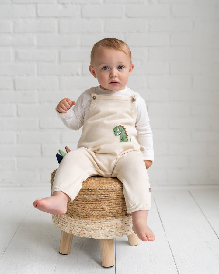 Dino Jacquard Knit Baby Overall Set (Organic Cotton)