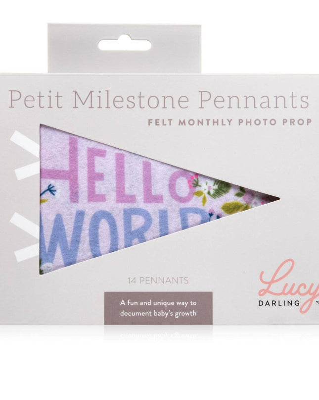 Little Artist Baby Milestone Pennant