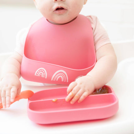 Chasing Rainbows Little Bites Starter Bib