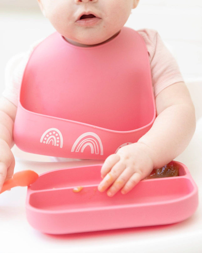 Chasing Rainbows Little Bites Starter Bib