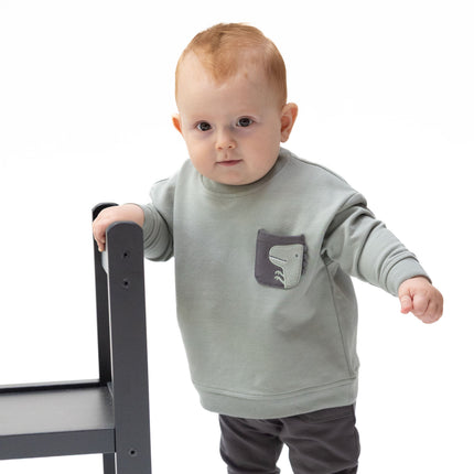 Dinos French Terry Drop Sleeve Sweatshirt