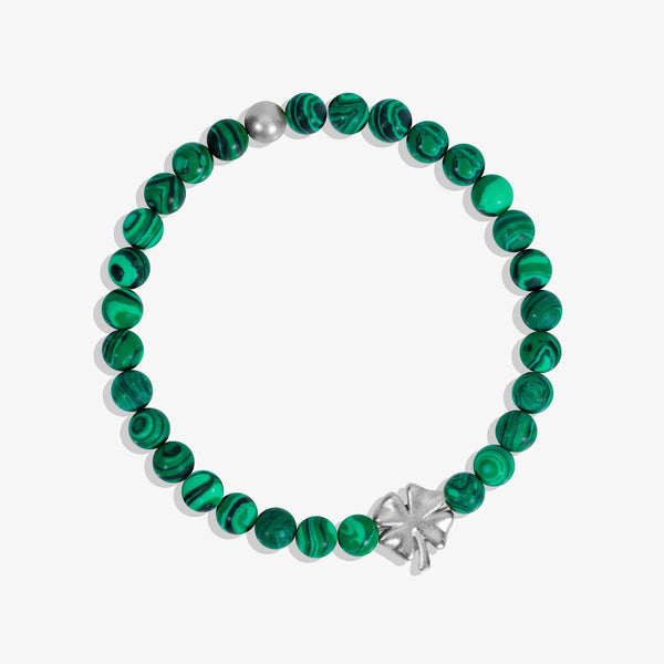 Lucky Wish Malachite Stretch Bracelet