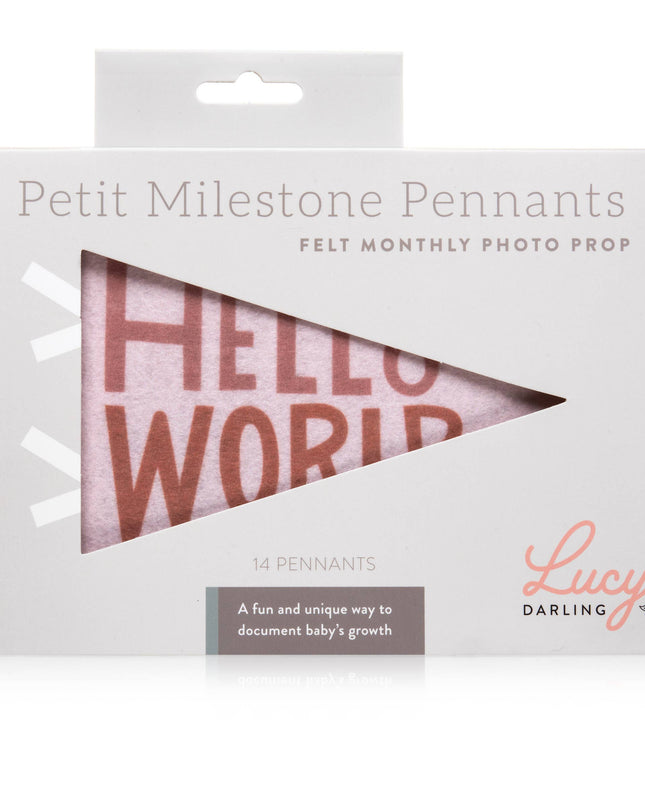 Mountain Fields Baby Milestone Pennant