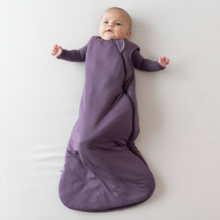 Kyte Baby Sleep Bag