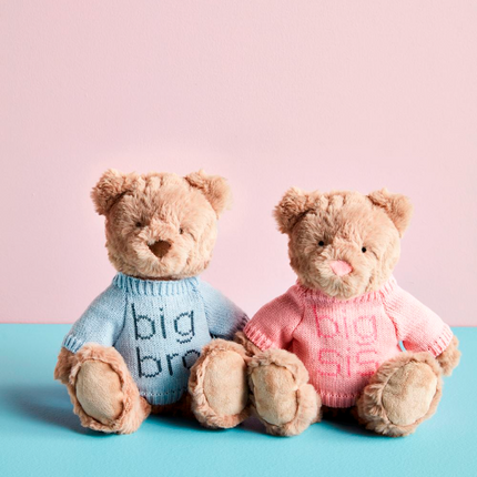 Big Sis Big Bro Plush Bears