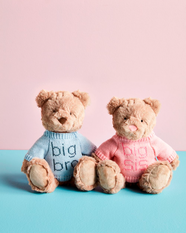 Big Sis Big Bro Plush Bears