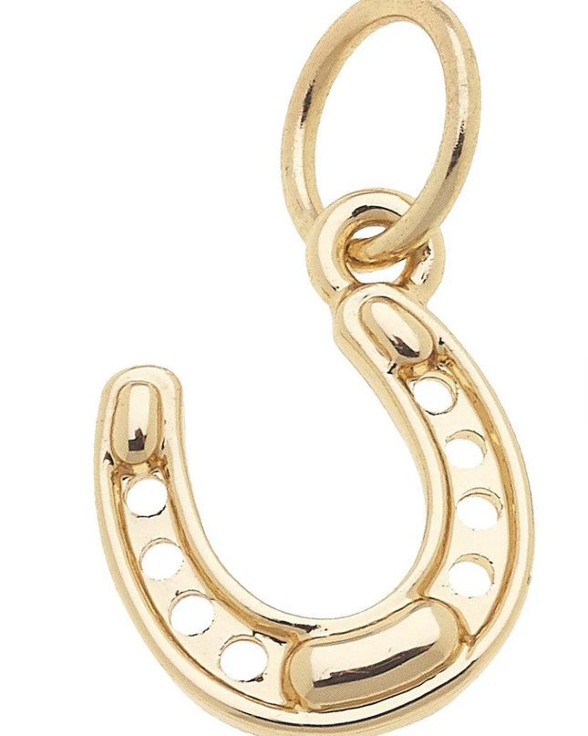 Lucky Horseshoe Charm