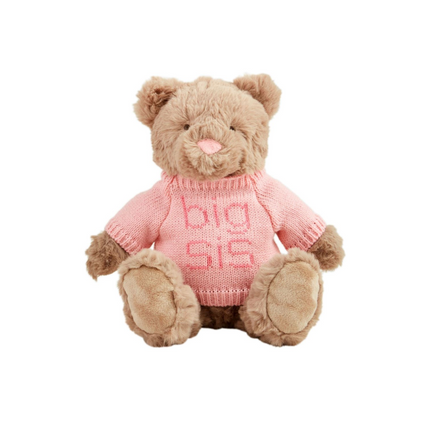 Big Sis Big Bro Plush Bears