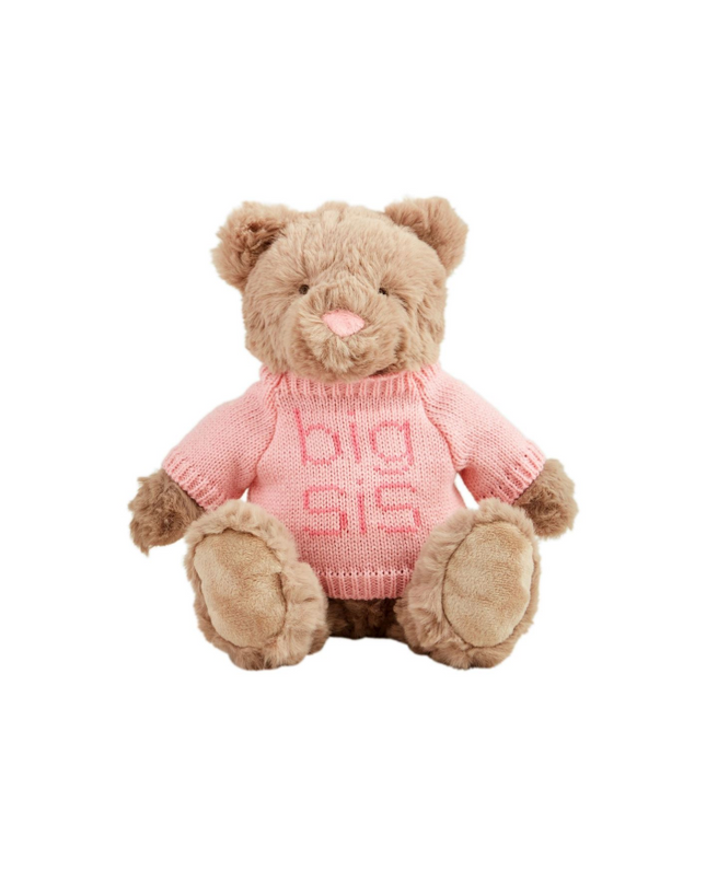 Big Sis Big Bro Plush Bears