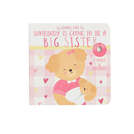 Sounds Like Big Bro Big Sis