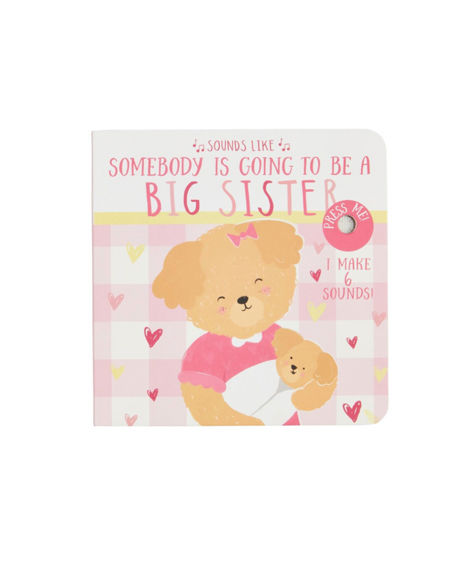 Sounds Like Big Bro Big Sis