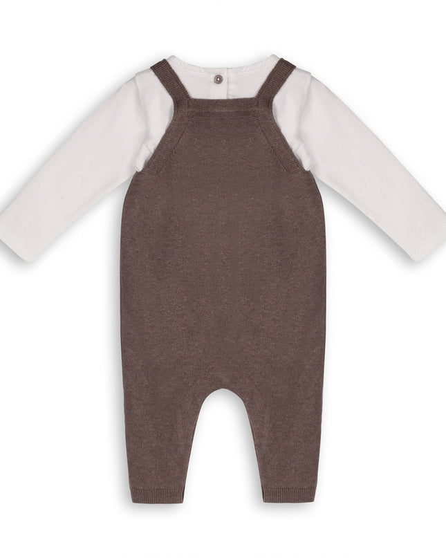 Bear Sweater Knit Baby Overall & Bodysuit Set (Organic)