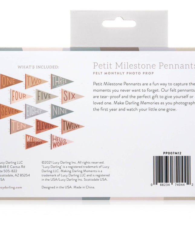 Mountain Fields Baby Milestone Pennant