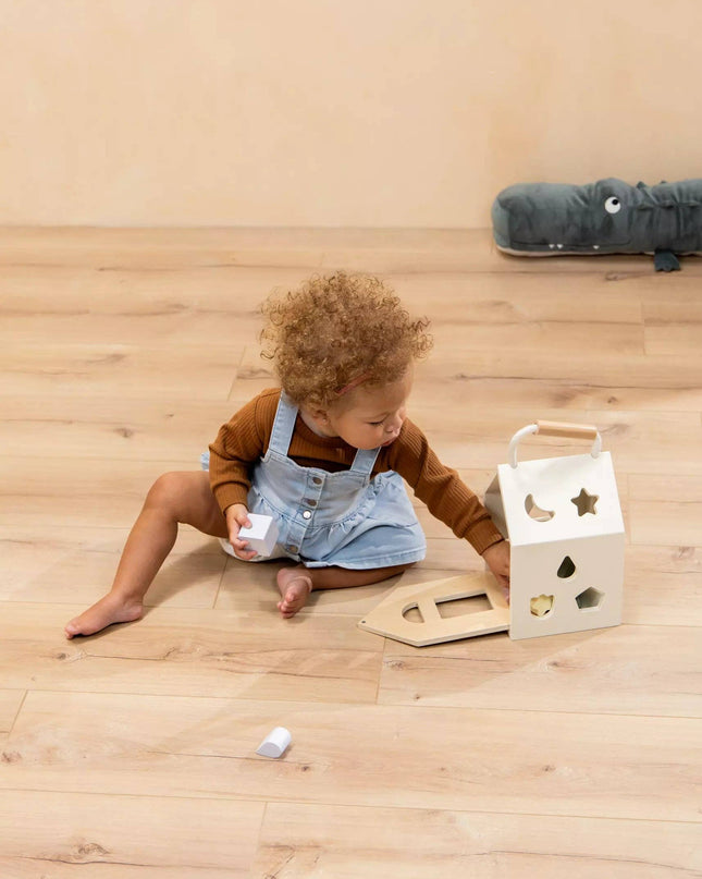 Wooden Shapes Sorting House