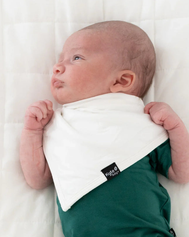Kyte Baby Bib in Cloud