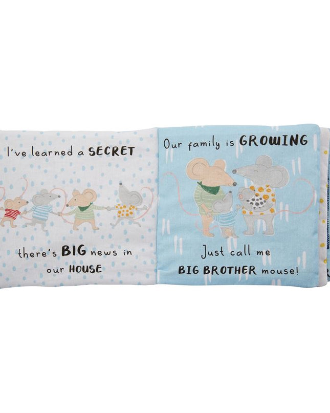 Big Brother book and pin set — close up showing pin detail