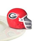 University of Georgia