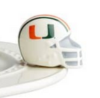 University of Miami