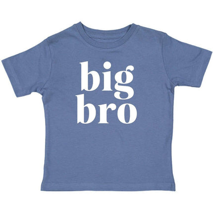 Big Bro short sleeve shirt — sibling announcement outfit, new baby gift